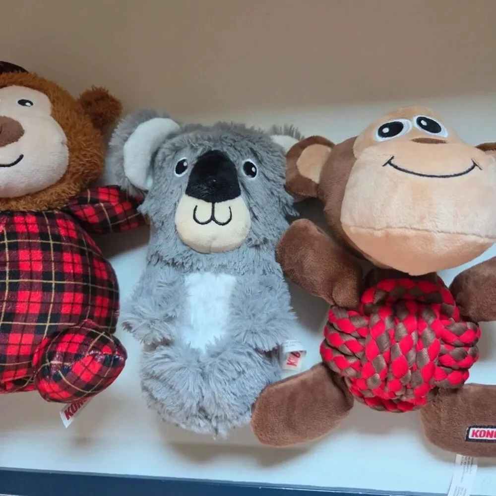 Kong Dog Toys